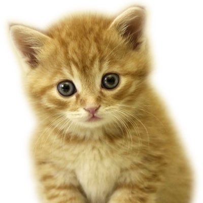 tiphaine8595's profile picture. maman de deux enfants,j'adore participer à des concours pour faire profiter ma petite famille 😉😊👍