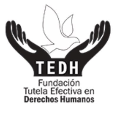 Fundación Tutela Efectiva. Derechos Civiles y Políticos. Derechos Económicos, Sociales, Culturales y Ambientales.