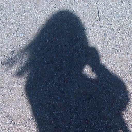 Harriet_Vain's profile picture. 