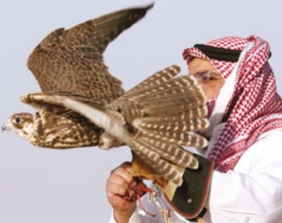 ماهو ضروري كل حاقد أعاديه ولا هوضروري كل طيّب رفيقي علم الردى والطيب يبقى لـراعيه وأنا على دربي وعارف طريقي