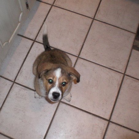 bsauer18's profile picture. Read information. Forget 5 minutes later.