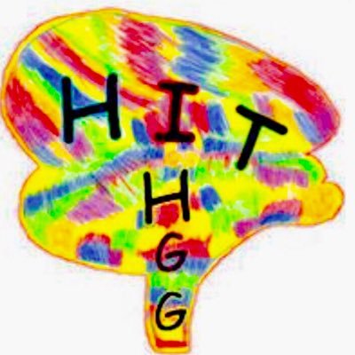 HIT-HGG