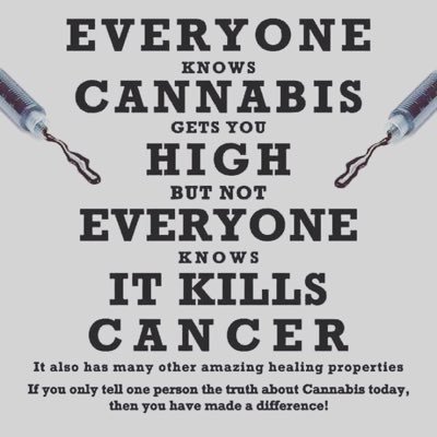 CannabisSoapCo's profile picture. The Cannabis Soap Company produces High CBD topical solutions to heal your body, mind, and soul look for us in a dispensary near you