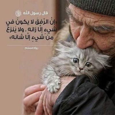 ان ضاق صدرك بين همٍ وحاجه
لا تبدي اسراركّ على غير موثوق
ولو كل من يمرض عرفنا عـلاجه
ماضاعت الدنيا ولا مات مخلوق