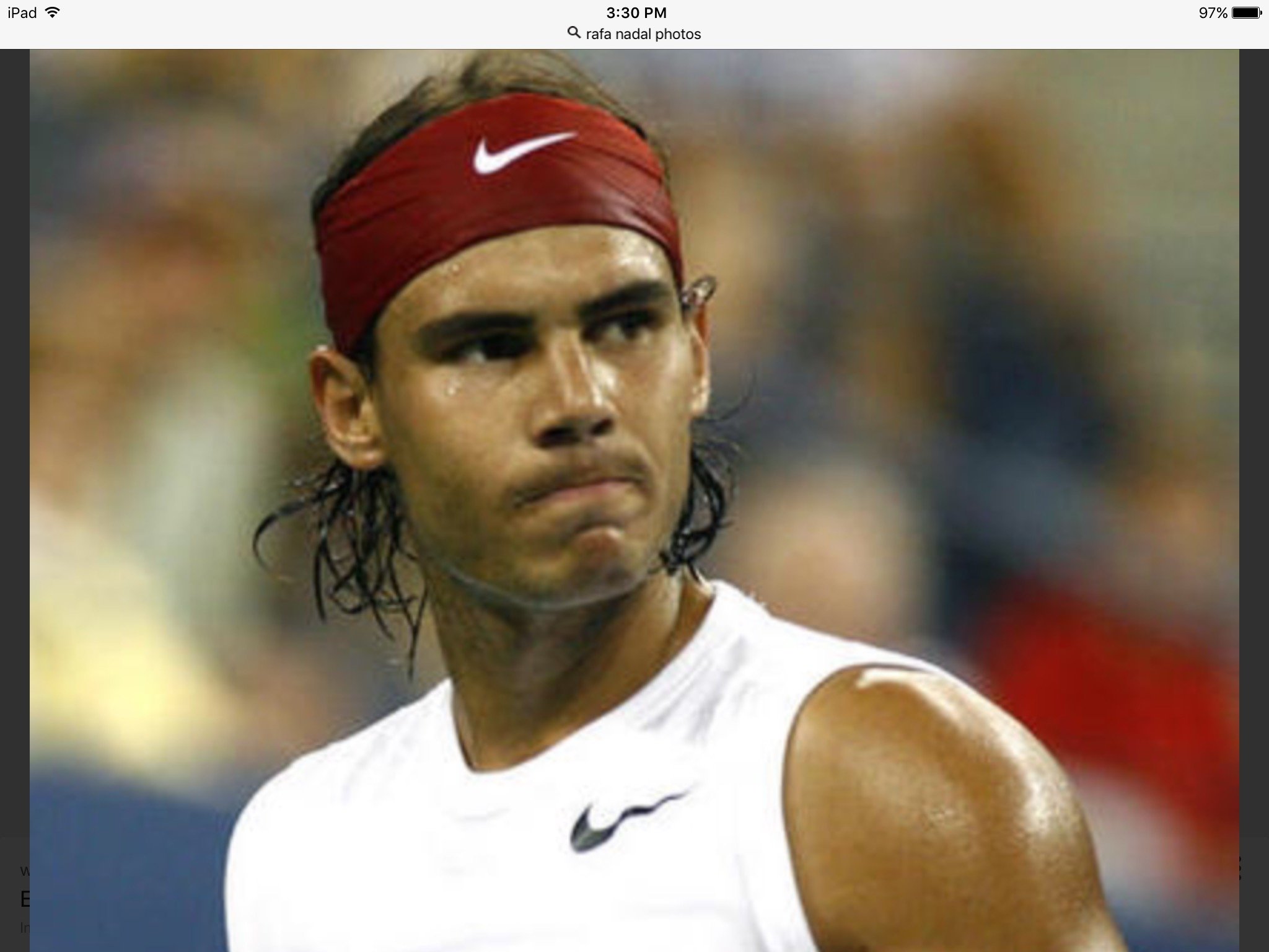 Love Rafael Nadal, my favorite player.  Love animals, especially dogs, cats, horses, birds, & all wild life!  Ban trophy hunting!