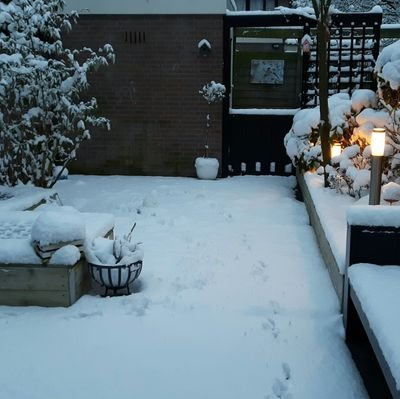 MeerKoos's profile picture. tuinenmeer.koos@gmail.com