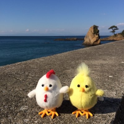 chikin_fg's profile picture. Fg吹いてます。(TFB、ノルフィル、Tオケ、コスモスカイ、横響など。)返信遅くてすみません。