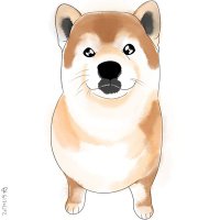 しばけん 柴犬こうめ (@shibatto_koume) • Instagram photos and videos