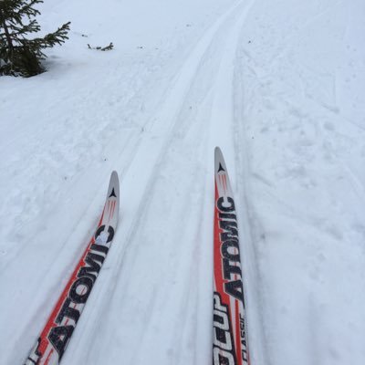 torkeln1's profile picture. Outdoor and wildlife