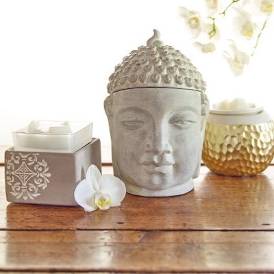 Wickless_Waxx's profile picture. 