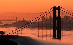 SF_Facts's profile picture. 