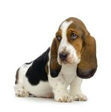 purdeysmum's profile picture. it wasn't me!!!