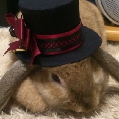 tama_grand's profile picture. 成人済み / 地雷無し / 三国志は曹操 / 刀剣は三条織田 / 西田作品にのめりこむ / https://t.co/g8LqrzC5mv