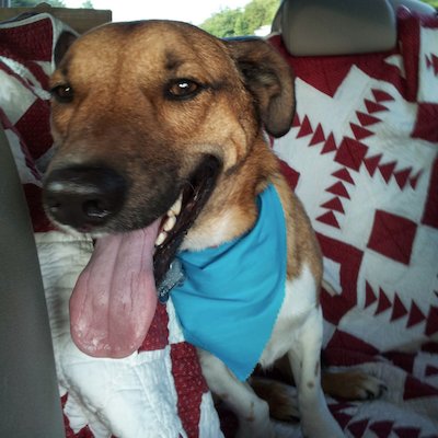 mjduftler's profile picture. 