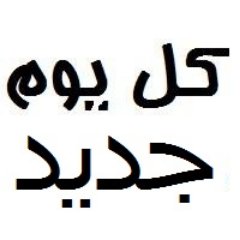 GdedKol's profile picture. 