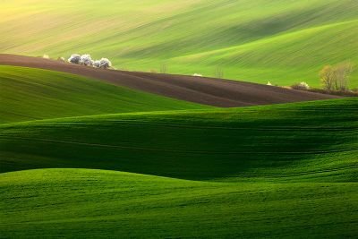 b56299414a22405's profile picture. 