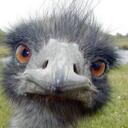 Tim German - @timgerman - Twitter