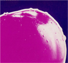 CleveHistory's profile picture. The best way for Cleveland to move into the future is to engage with the past. Managing editor @cbnickras is your Twitter guide to CLE's unique heritage.