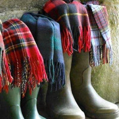 IrastorzaJJ's profile picture. 