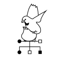 LundySparrowProject (@lundysprogs) 's Twitter Profile