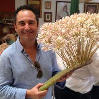 Pacocantos (@paco_cantos) 's Twitter Profile