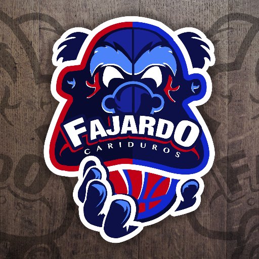 We are a professional basketball team of the Baloncesto Superior Nacional founded in 1973.