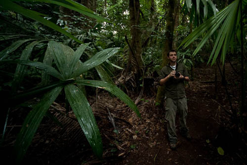Ecologist with a warranted fondness for beetles, most at home in a tropical forest. Director at UB-ERI https://t.co/Tv9wW6OSJr