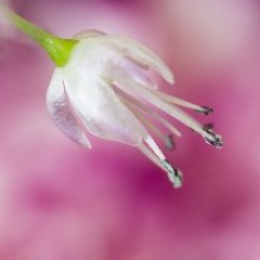 Hobby fotograaf, https://t.co/5SNOTEilOs, gadget freak
