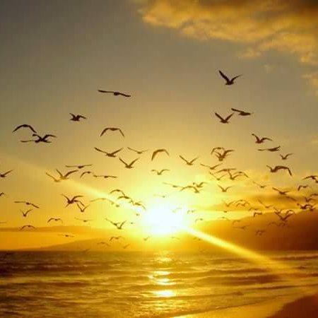 lucy_maysonet's profile picture. Sending everyone energies for Prosperity. Health. Courage. Liberation. Wisdom. Responsibility. Family. Heart.