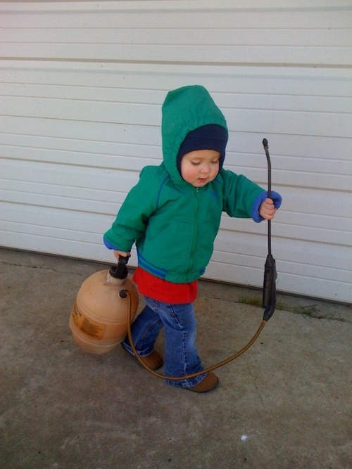 Looking for lawn and landscape answers? The Hunt Is Over. http://t.co/WGM0XwYg81.