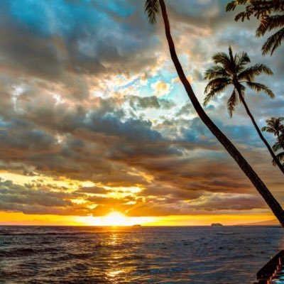 KimHaggard79's profile picture. Thankful