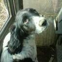 Jo Glover - @mojo88xxx - Twitter