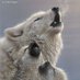 John Vinals (@canislupus1365) Twitter profile photo John Vinals (@canislupus1365) Twitter profile photo