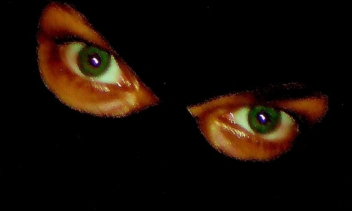 monday189's profile picture. 