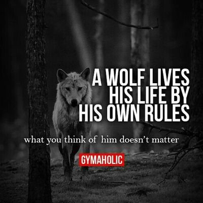 shanki73's profile picture. 