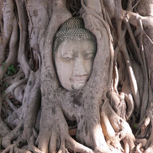 TugagirlBKK's profile picture. 