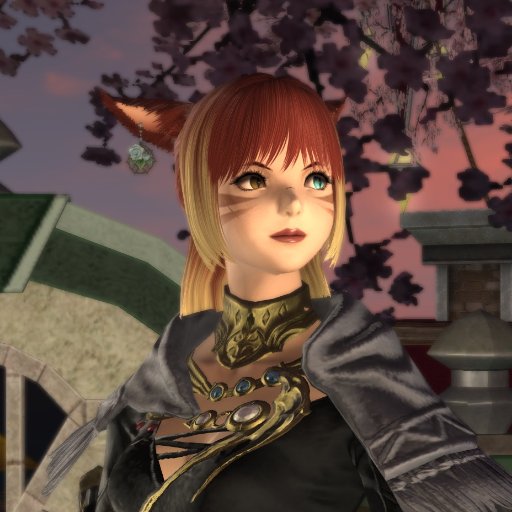 AsianEd's profile picture. FFXIV healer, car enthusiast, BJD collector, photography nerd, and anime fan!