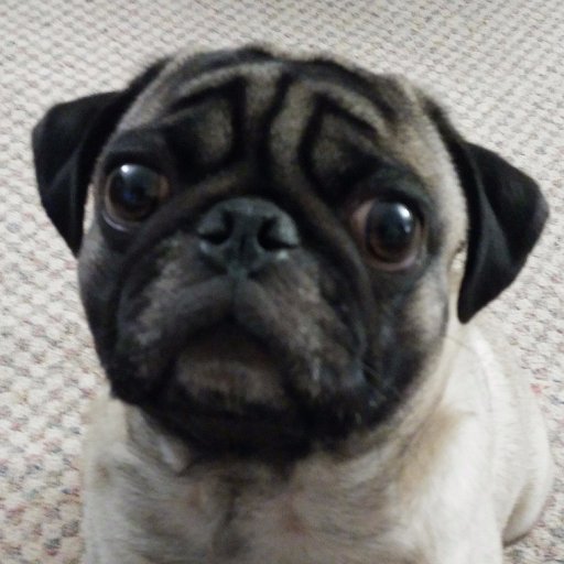 Karnee0's profile picture. 