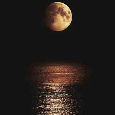سبحانك ربي ماعبدناك حق عبادتك نستغفرك ونتوب إليك ...🚫يمنع دخول الخاص لو تكرمتو 🚫
🌟تغريداتي في مفضلتي 🌟