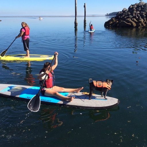 Lodging Kayaking on Sequim Bay. https://t.co/XuSRAfBws5 / https://t.co/vAgbfv5RIR John Wayne Marina.  360-571-4303 / relax@sunsetmarineresort.com. Pets welcome.