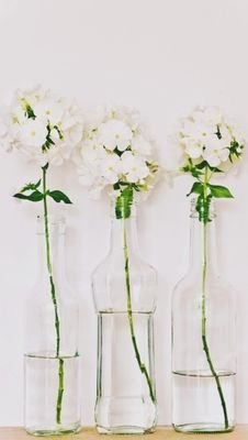 ttisj_kej2's profile picture. ♥합니다~^^ 맞팔 100%