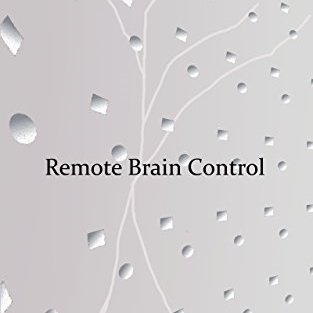 既に人とロボットに境界はない＿
書籍”Remote Brain Control” ＿
遠隔から神経系の包括的な操作を行う技術＿
実践的人間ロボット学＿