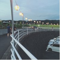 ささはら@🃏💙🐰🐴ぽきなー (@sasahara_127) Twitter profile photo