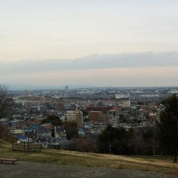 maybe (@maybe_hide) Twitter profile photo