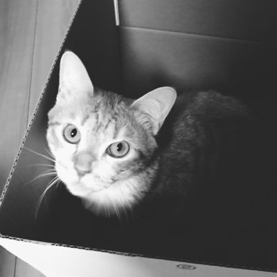 nianbb02's profile picture. Life is about falling,living is about getting backup!