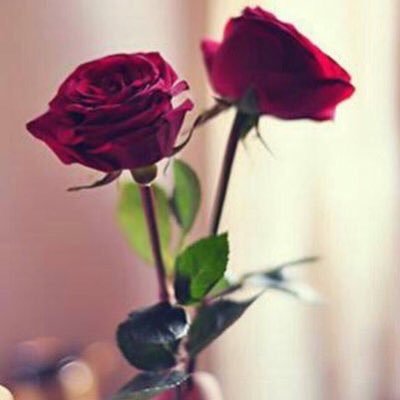 اللهم إني أسألك الجنة وأستجير بك من النار 🍃