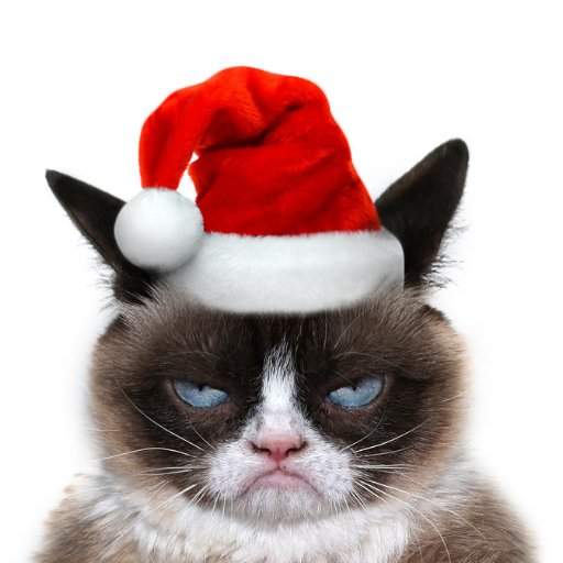 mitv24's profile picture. 