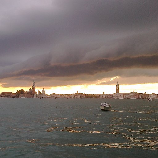 DoraVedova's profile picture. 