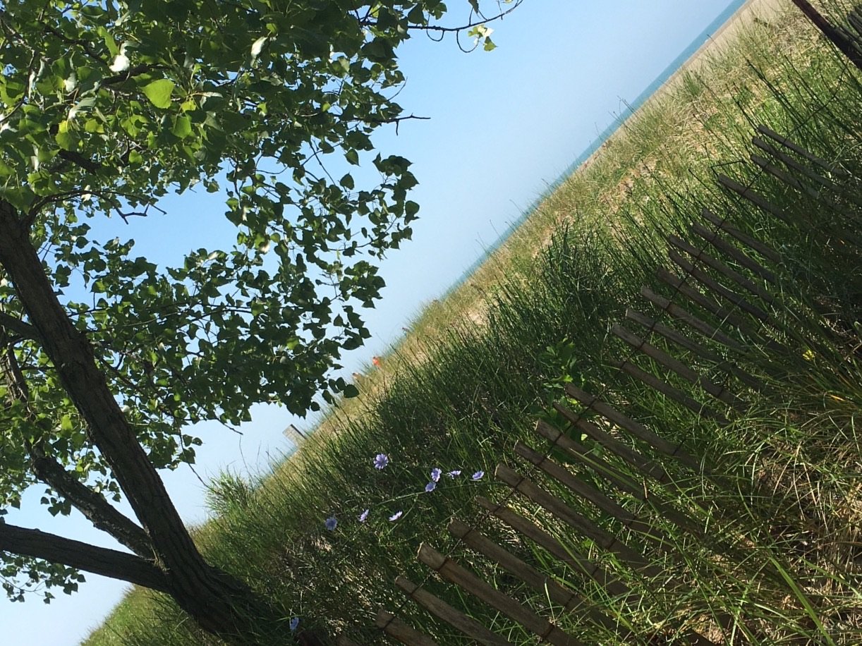 JodiCamp3's profile picture. 