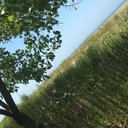 Jodi Camp - @JodiCamp3 - Twitter